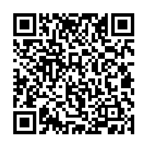 紧接着龙傲天的剑的周围也瞬间形成了一条龙的形状二维码生成