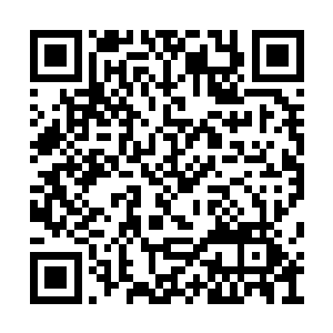 紧紧两个呼吸的时间就被金色的能量箭矢追上了二维码生成