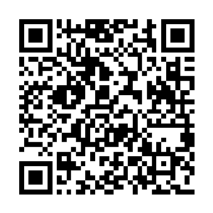 紧紧地跟在发狂的大象后面往自己的军阵里狂奔二维码生成