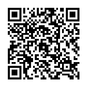 紧紧拉住晏晨的手泪水不一会儿打湿了晏晨的衣襟二维码生成