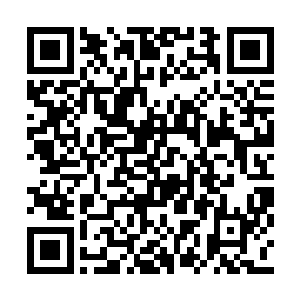 紧紧注视着凤凰的孔雀巨鸟目光与凤凰双眼相遇二维码生成