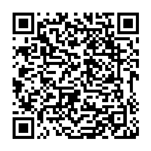 紧紧这两个县的经济增长量就几乎占了全地区今年经济增长量的三分之二弱二维码生成