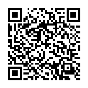 紧跟在赤焰魔后的是一种通体漆黑如焦炭的高大魔物二维码生成