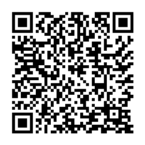 紧跟着他们就看到有两只遮天蔽日的大手带着无上的威压从天上落下二维码生成