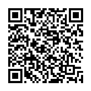 紧跟着心禾赶来的红梅和瑜真对梓箐自然也是一幅横眉冷对二维码生成