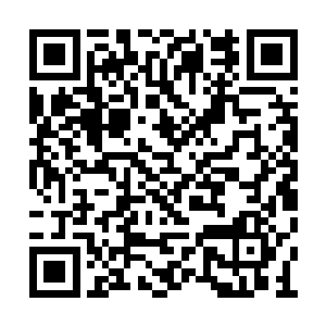 紧随其后的金雷衣男子徒手接住沈凡的金色巨拳二维码生成