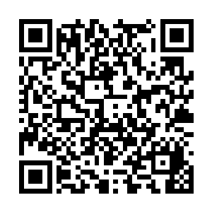 紧随着第八王一起出现的是那围攻第八王的那四位二维码生成
