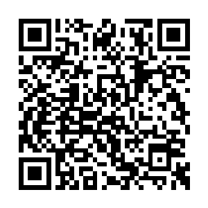 紫凝的手中立刻凝聚出两道无比强大的龙魂玄气二维码生成