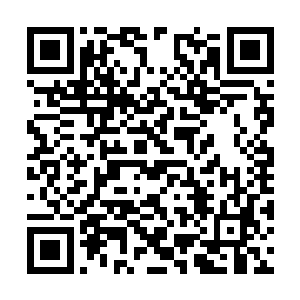 紫千幻小心翼翼地以指腹摸了摸三宝那娇嫩的脸蛋二维码生成