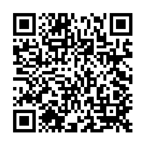 紫千幻强行不让自己关切的目光转向地上跪着的东方玉兰二维码生成