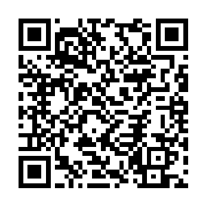 紫千御等人同样是极为不舍地看了一眼慕容玥几人二维码生成