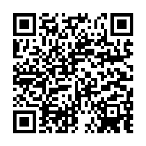 紫家先祖不甘心自己创造出的世界和紫猿彻底毁灭二维码生成