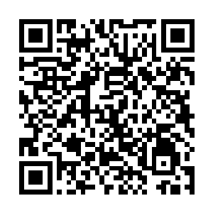 紫家先祖本想是利用这些紫猿来从反方向领悟不朽之力二维码生成