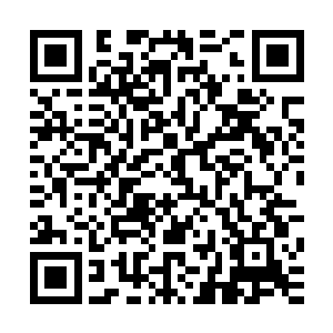 紫宸扫视了一下眼前的一大片黑雾之后眉头微微皱起来开口道二维码生成
