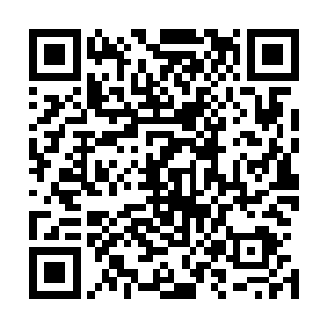 紫宸看了一眼眼前浓郁的黑雾之后忍不住有些不确定的说道二维码生成