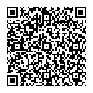 紫川仙帝之所以对龙傲天如此的怨恨是因为他的唯一的一个弟子紫幕仙君正是死在了龙傲天的手中二维码生成