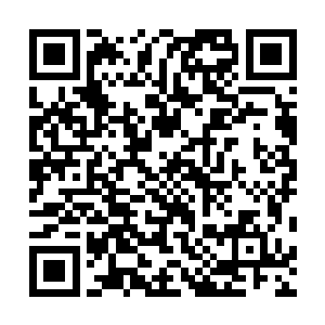 紫幽派万年前老祖所言不正好与这十二字预言中所说一致二维码生成