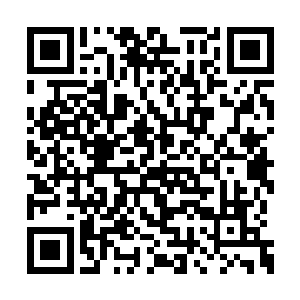 紫明月几女的脸上顿时也露出了一抹惊讶的神情二维码生成