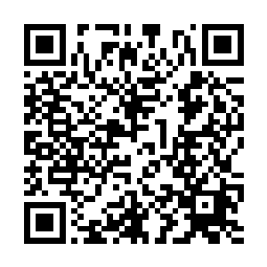 紫晴和君北月至今都不知道他们能这么顺利的上山二维码生成