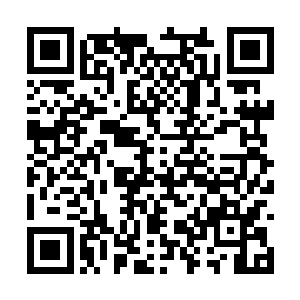 紫烟空间内的一掌之水和火灵儿依旧在空中转着圈二维码生成