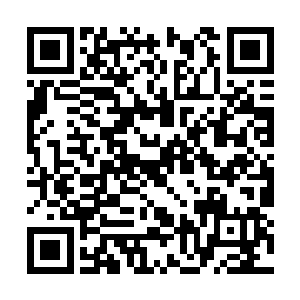 紫烟空间内的器一等人也炼制出来足够的五品仙丹二维码生成