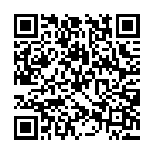 紫玉葡萄在造化图之中绝对不会比在这里的环境差二维码生成