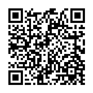 紫皇草这些极为珍贵的药材在黄风号上可以买到时二维码生成