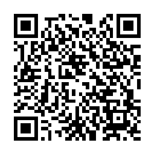 紫瞳铁甲兽和黑熊这种巨大的身躯也根本钻不进去二维码生成