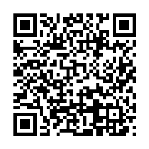 紫红色魂力不停的被激发溢出填充到流墨墨神魂中二维码生成