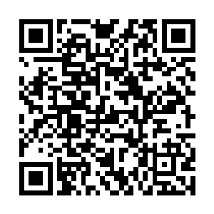 紫色方和蓝色方加起来10人全部都出现在了小龙区域二维码生成