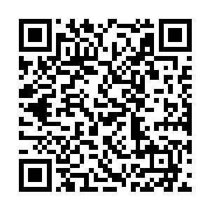 紫色的头发……火焰一般的感觉……深渊血统……二维码生成