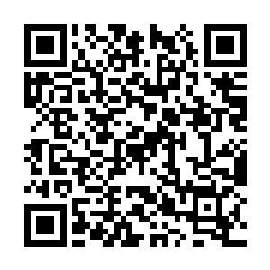 紫色的火龙瞬间直接将赤红色的火龙一口吞了下去二维码生成