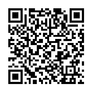 紫色背影落在正在台下和电脑前观看直播的无数观众眼中二维码生成