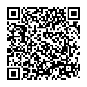 紫花婆婆迫不及待的想要知道古忝两姐弟知道亲人被杀后的那种痛苦感二维码生成