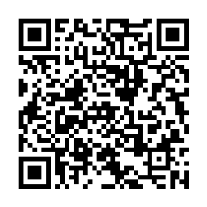 紫芸老师说过不能将你当做寻常小圆满天才来对待二维码生成