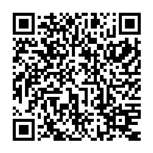 紫薇宗的人也是一个个目光错愕的看着那满身布满恐怖伤痕的少年二维码生成