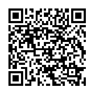 紫薇家族的到来瞬间成为了全场最令人瞩目的焦点二维码生成
