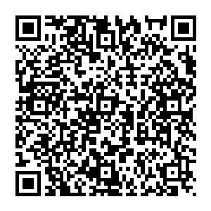 紫郢青索两道剑灵的身影在剑尘的头顶幻化而出两人皆是一脸吃惊的盯着前方那一黑一白两团光忙二维码生成