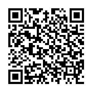 紫金色的巨手再一次狠狠的朝着黑衣人的身上镇压过去二维码生成