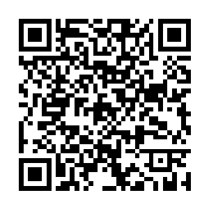 紫阳真人和紫光真人在同一时刻也瞬间做出了反应二维码生成