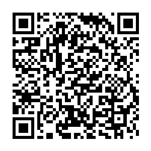 紫霄震天戟等纷纷的爆射出一道道恐怖的劲气直接迎上了血色的巨龙二维码生成