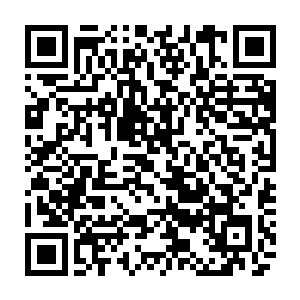 紫青剑灵的本源力量带着一片灿烂的紫青两色光芒紧追着太上长老的长剑追去二维码生成