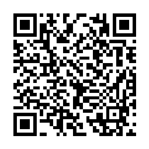 紫青双剑也化为一道闪电向着天灵殿殿主射了过來二维码生成