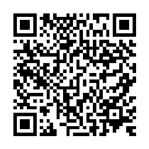 紫龙王和紫龙王妃直接陷入了跟金凤王差不多的状况之中……二维码生成
