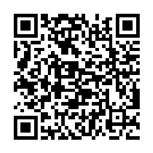 累成那熊样儿还是阻挡不住没完美了的笑容破灭天道二维码生成