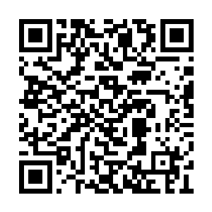 红发男子呆呆的看着那条在地上如狗一样爬动的二维码生成