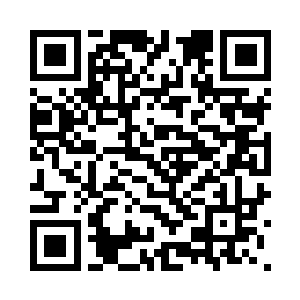 红尘设计一下子弄回来这么多新车二维码生成