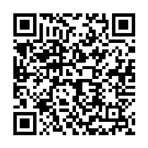 红巾盗贼团的第二号人物血手屠夫萨拉在安达曼城落网二维码生成