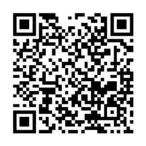 红彤彤的苹果好像陀螺一样在手中不断的快速绕动二维码生成