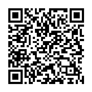 红月堂堂主朱金泰和文圣堂堂主齐平瞬间出现在金元空身侧二维码生成